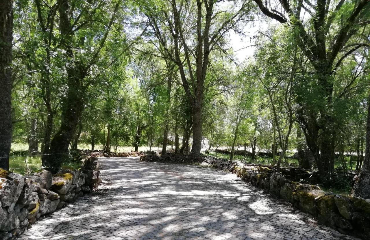 Carya Tallaya - Casas De Campo Vale das Éguas Εξωτερικό φωτογραφία