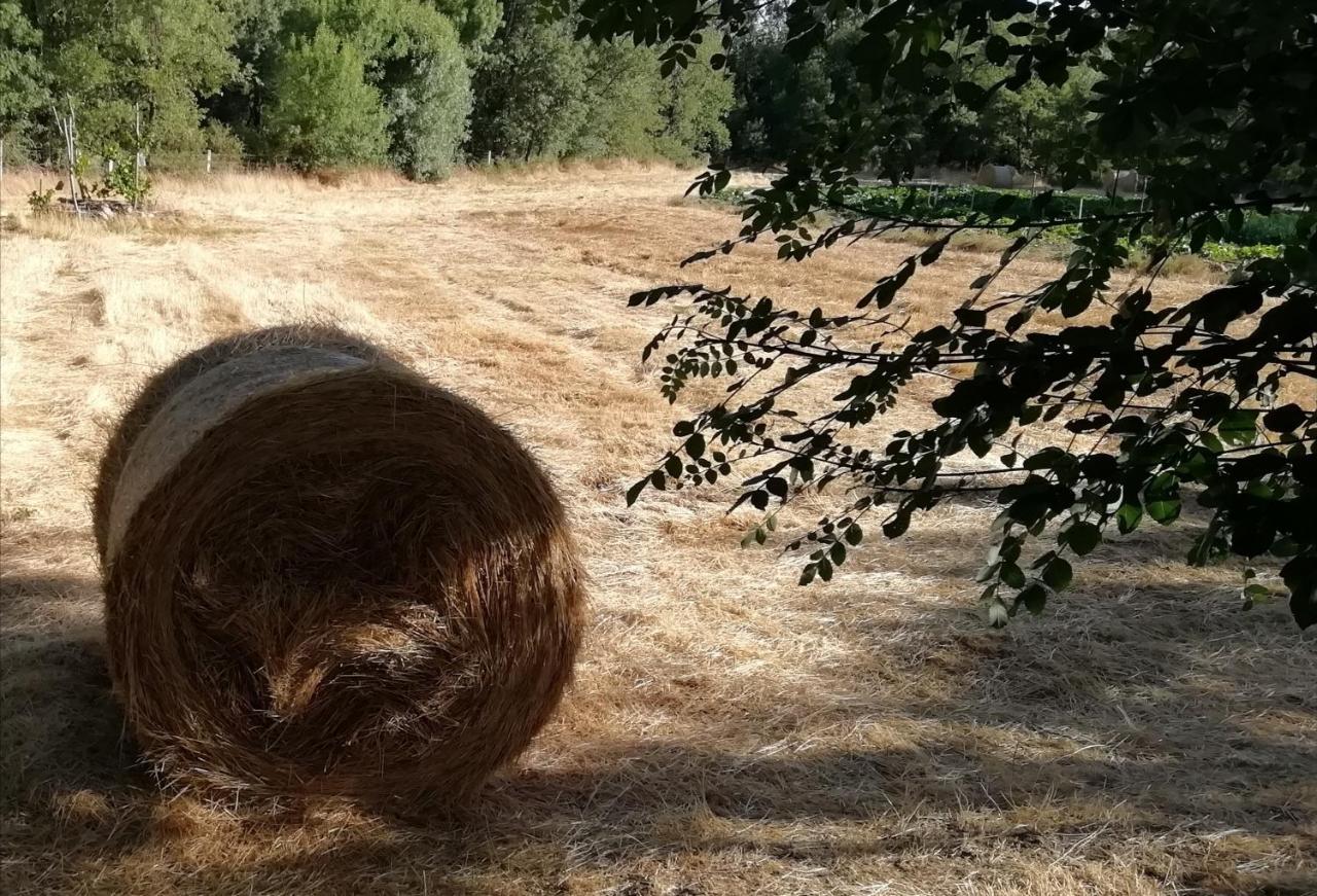 Carya Tallaya - Casas De Campo Vale das Éguas Εξωτερικό φωτογραφία