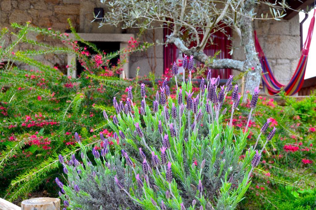 Carya Tallaya - Casas De Campo Vale das Éguas Εξωτερικό φωτογραφία